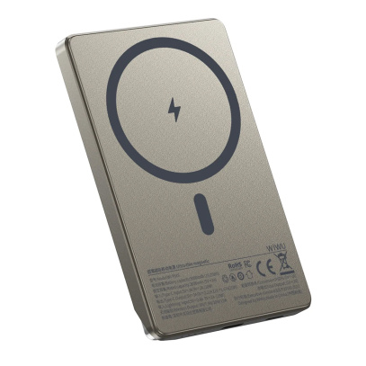 Внешний аккумулятор WiWU 5000mAh Power Bank (Wi-P019) Золотой