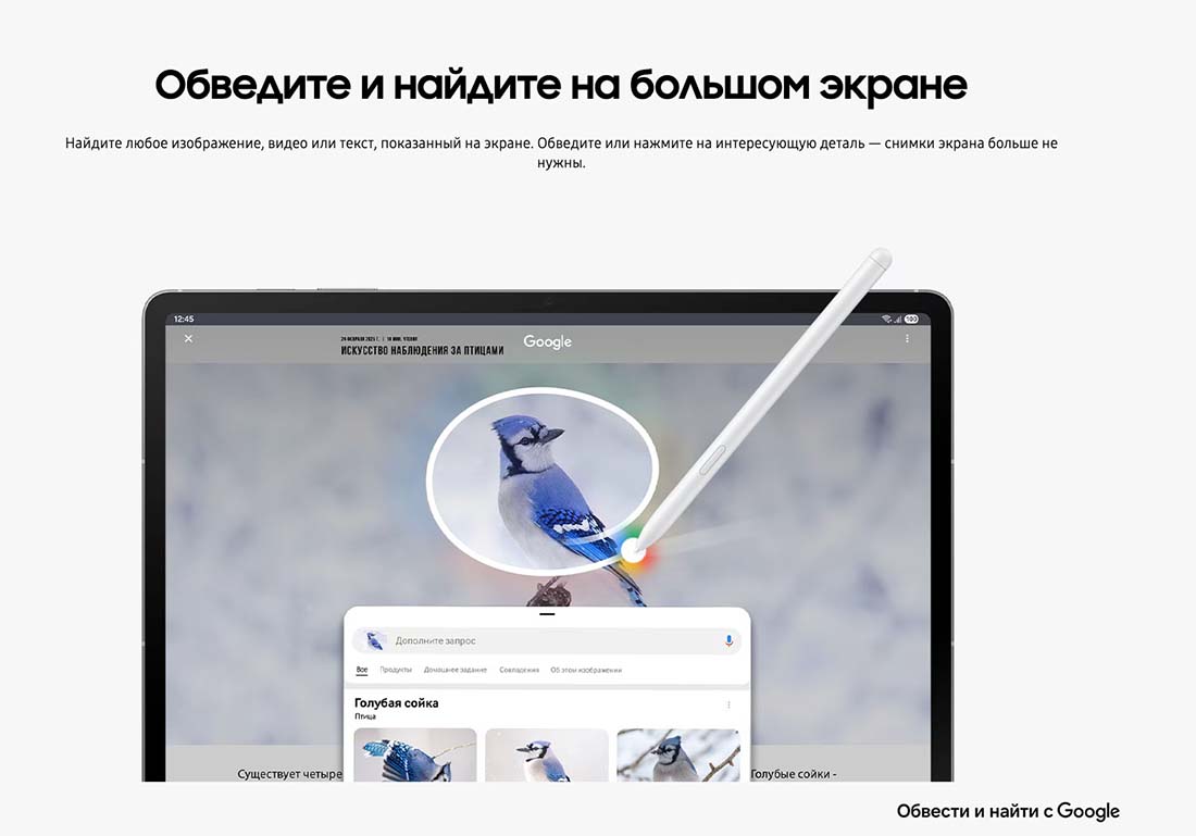 galaxy-tab-s10-fe в Новосибирске galaxy-tab-s10-fe