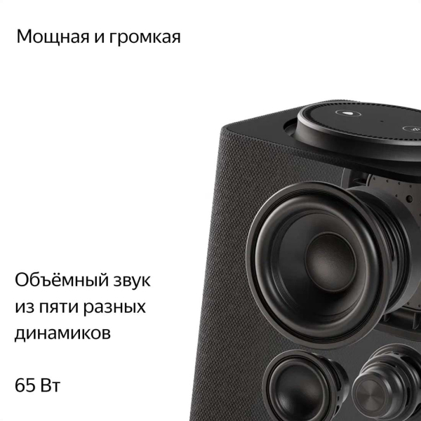 Умная колонка Яндекс.Станция Макс (Алиса, Zigbee) Графитовый