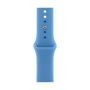 Apple Watch Series 12, 42 мм корпус из алюминия цвета «Space Gray», ремешок Sport Band размера S/M цвета «Wildflower Blue»